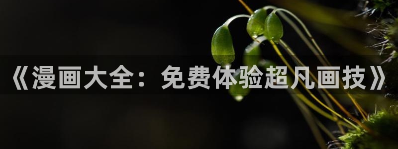免费漫画漫画排行：《漫画大全：免费体验超凡画技》