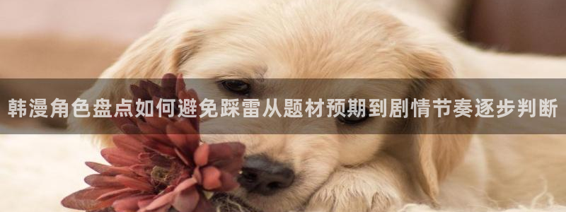 免费看漫画网站最新入口